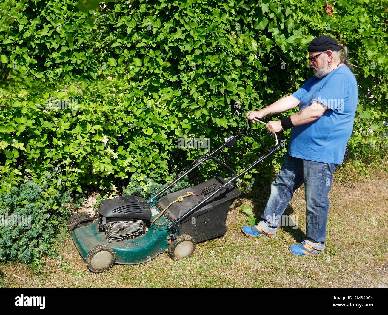 Hombre mayor activo que corta la hierba al sol con un cortacésped de gas Foto de stock