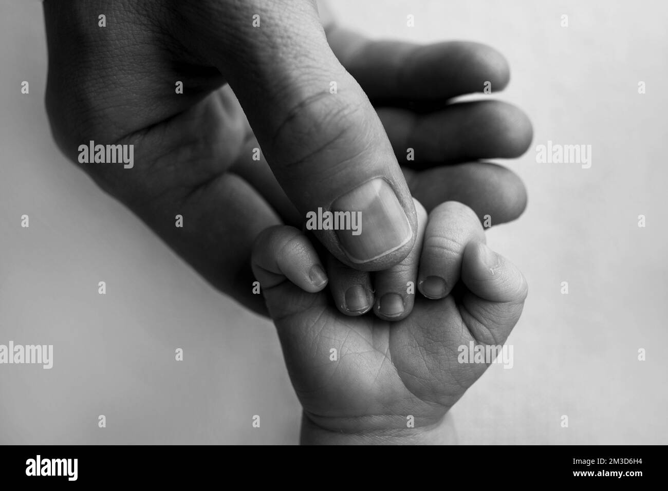 Padre sosteniendo los dedos del bebé recién nacido. Mano de un bebé recién nacido. Foto de stock