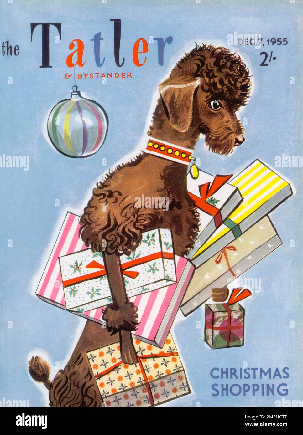 Portada ilustrada de The Tatler con un perro canino altamente independiente  que parece haber hecho todas sus compras navideñas. Fecha: 1955 Fotografía  de stock - Alamy