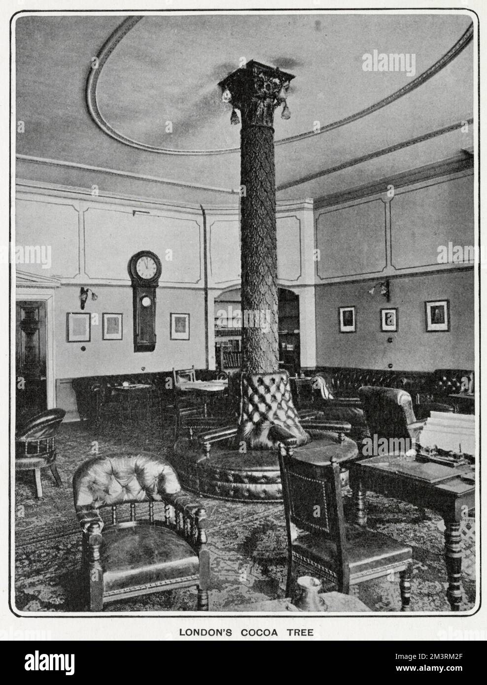 Interior del Cocoa Tree Club, que se dice que es el club más antiguo de Londres, mostrando el 'árbol', que subió a través de dos pisos. Originalmente era una casa de chocolate Tory y también famoso por ser una vez el partido jacobita H.Q. Lord Byron era miembro. Foto de stock