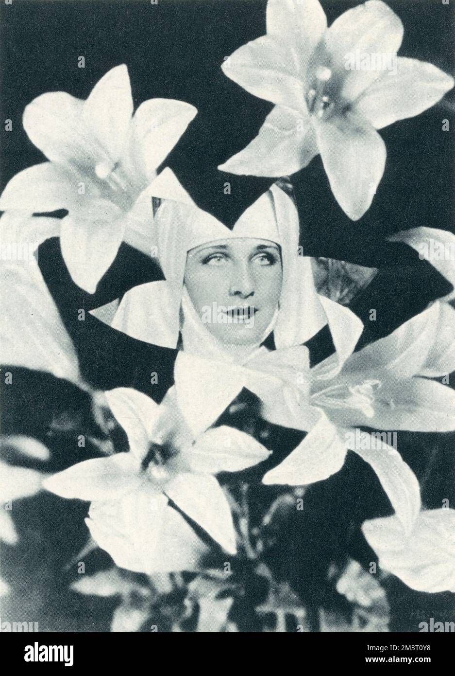 Norma Shearer entre los lirios - 'Celebridades de la pantalla - desde un nuevo ángulo: Retratos no convencionales'. Foto de stock