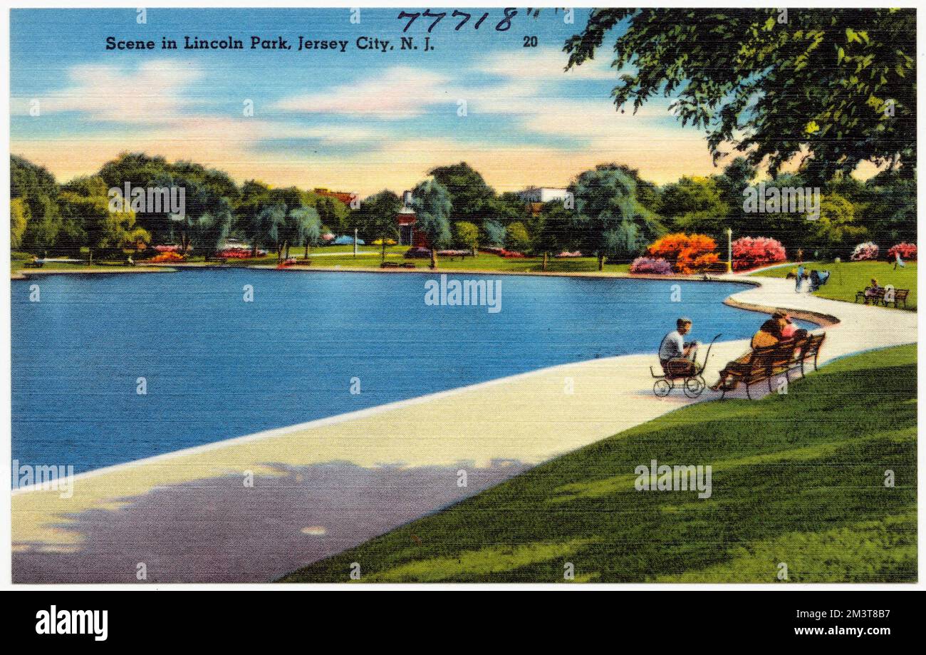 Escena en Lincoln Park, Jersey City, N.J. , Parques, Colección de los  Hermanos Tichnor, postales de los Estados Unidos Fotografía de stock - Alamy