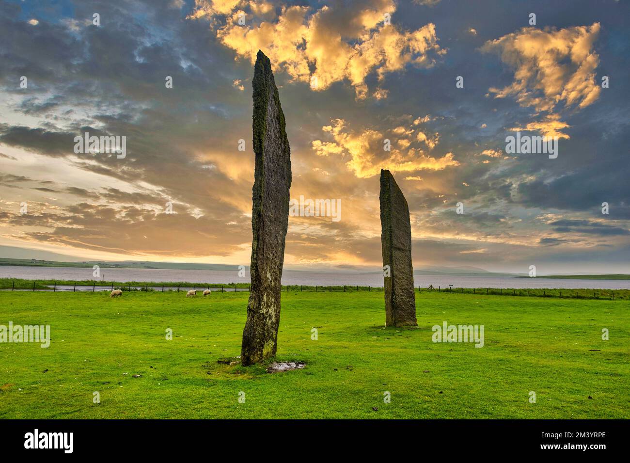 Patrimonio de la humanidad de la UNESCO Ver las piedras de Stenness, Islas Orcadas, Reino Unido Foto de stock