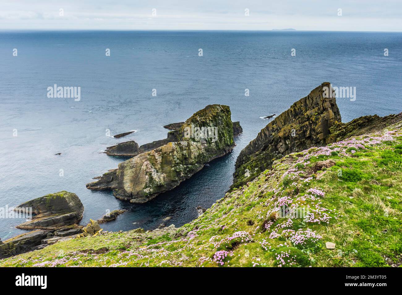 Los acantilados escarpados de la cabeza de Sumburgh, Islas Shetland, Reino Unido Foto de stock