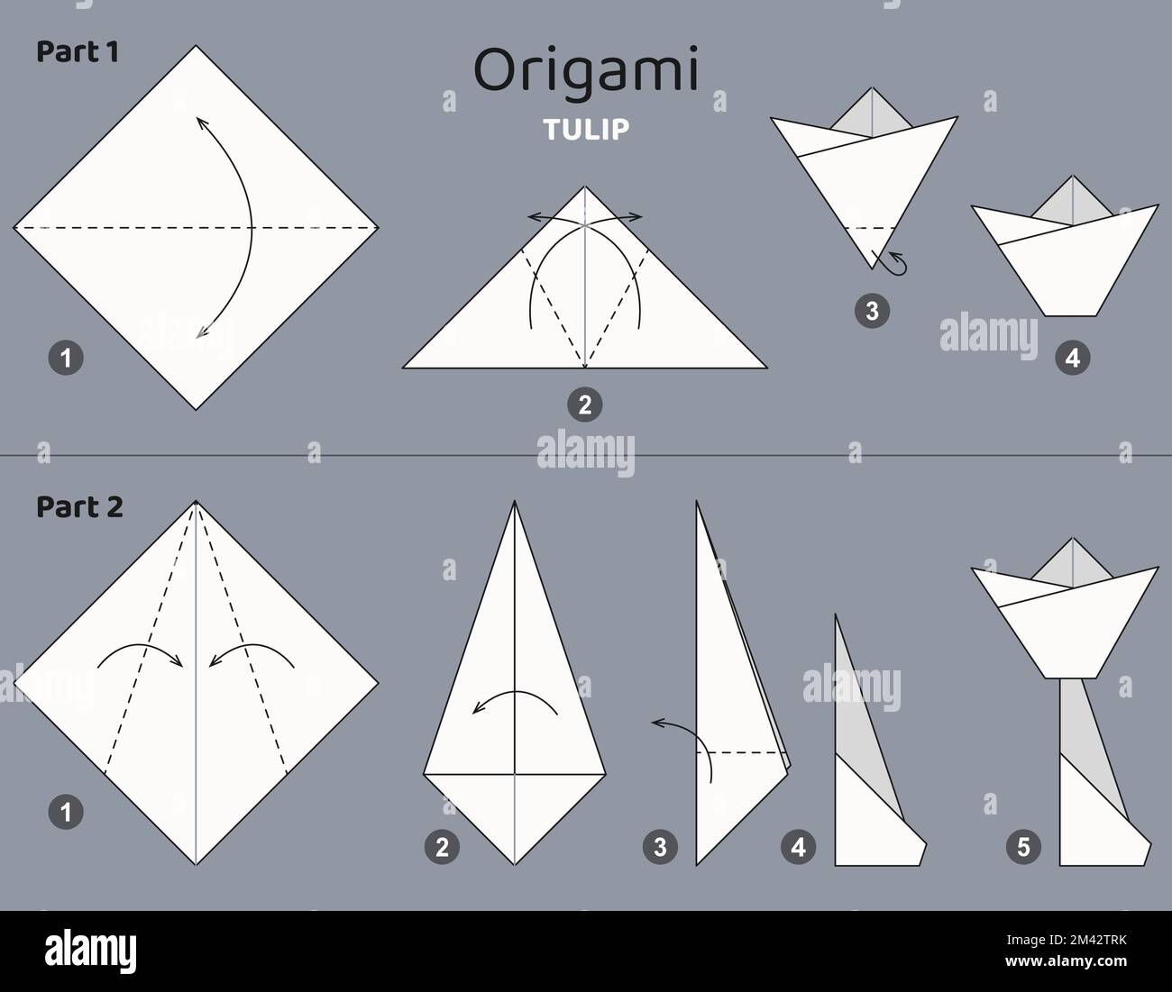 Tutorial como hacer una flor origami Imágenes vectoriales de stock Alamy