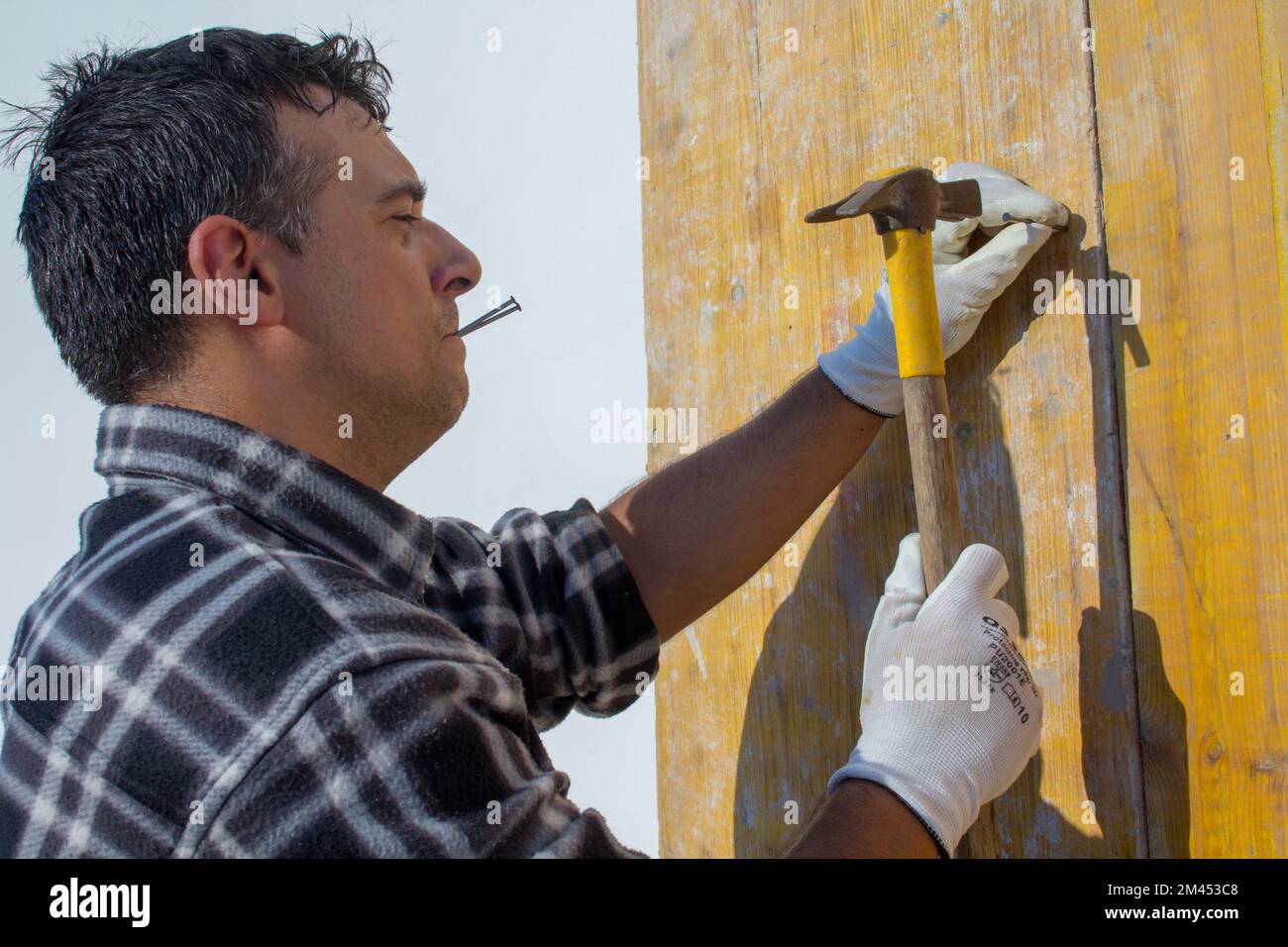 Albañil trabajando en un sitio de construcción mientras sostiene clavos entre sus labios y fija tablones de madera con un martillo. Foto de stock