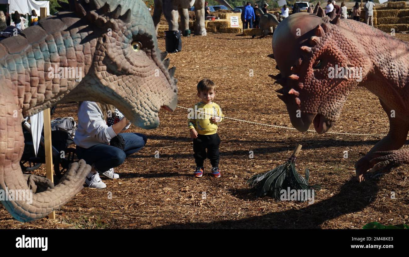 Dinosaurio a escala fotografías e imágenes de alta resolución - Alamy