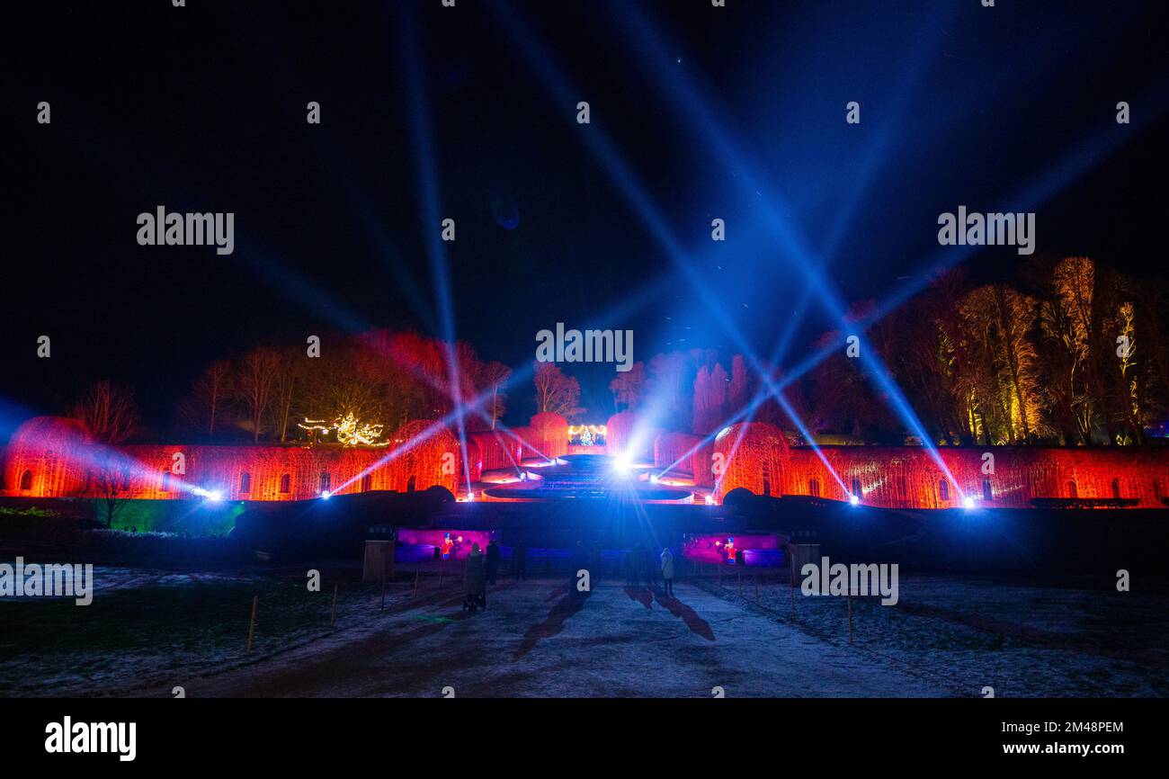 Luces de Navidad en el Alnwick Garden Winter Light Trail, Alnwick, Northumberland, Inglaterra, Reino Unido Foto de stock