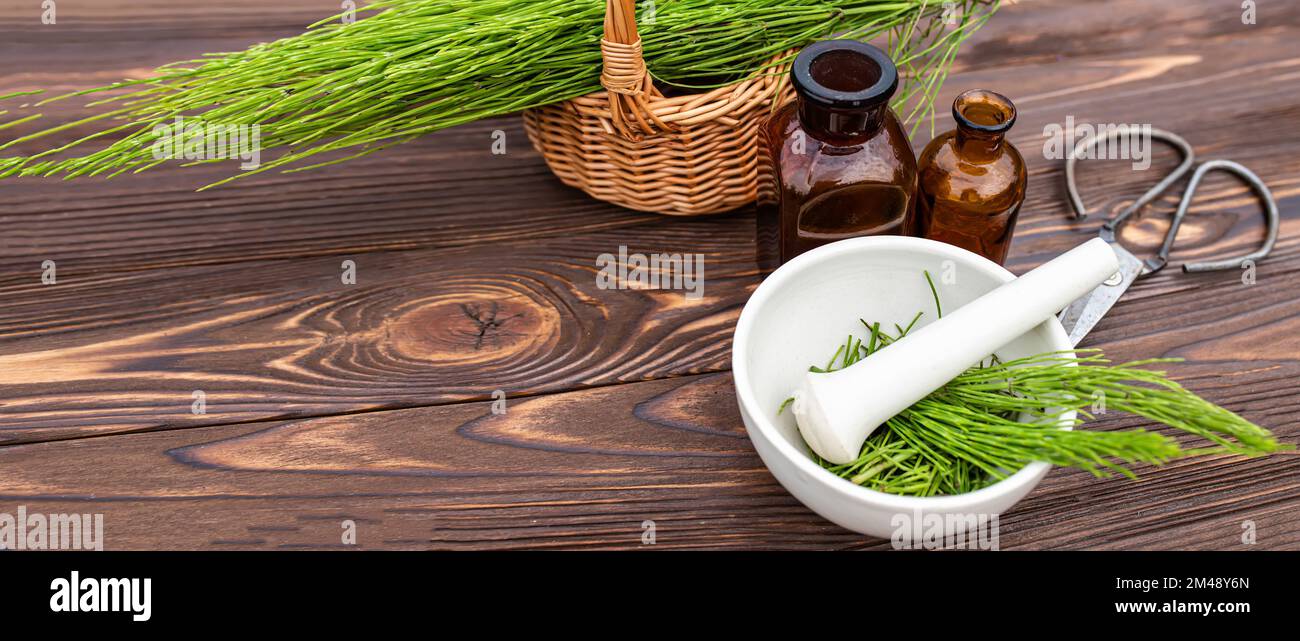 Cola de caballo fresca en un mortero de farmacia con un mortero en una mesa de madera. Colección de hierbas medicinales para la homeopatía y la herbolaria Foto de stock