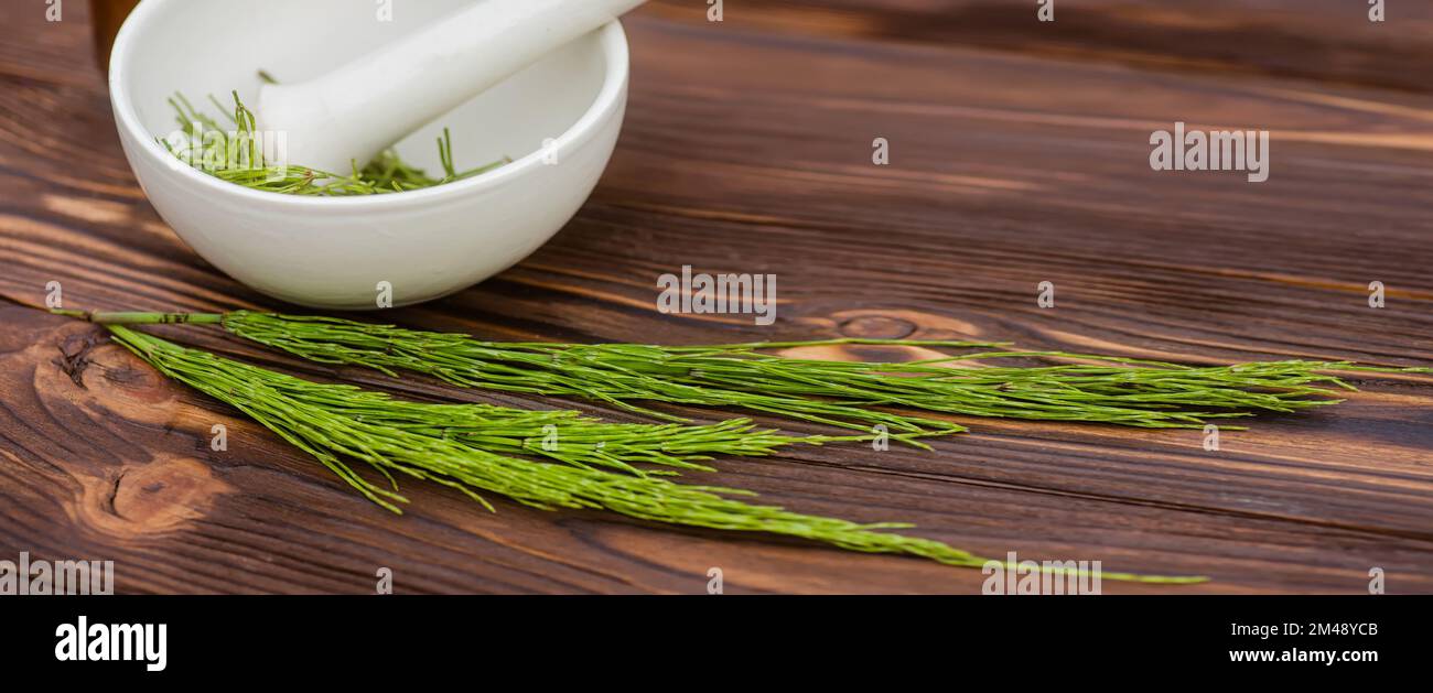 Cola de caballo fresca en un mortero de farmacia con un mortero en una mesa de madera. Colección de hierbas medicinales para la homeopatía y la herbolaria Foto de stock