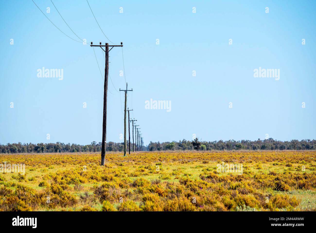 Una línea de postes de energía eléctrica atraviesa una estación de ovejas cerca de Bourke en el interior noroeste de Nueva Gales del Sur, Australia Foto de stock