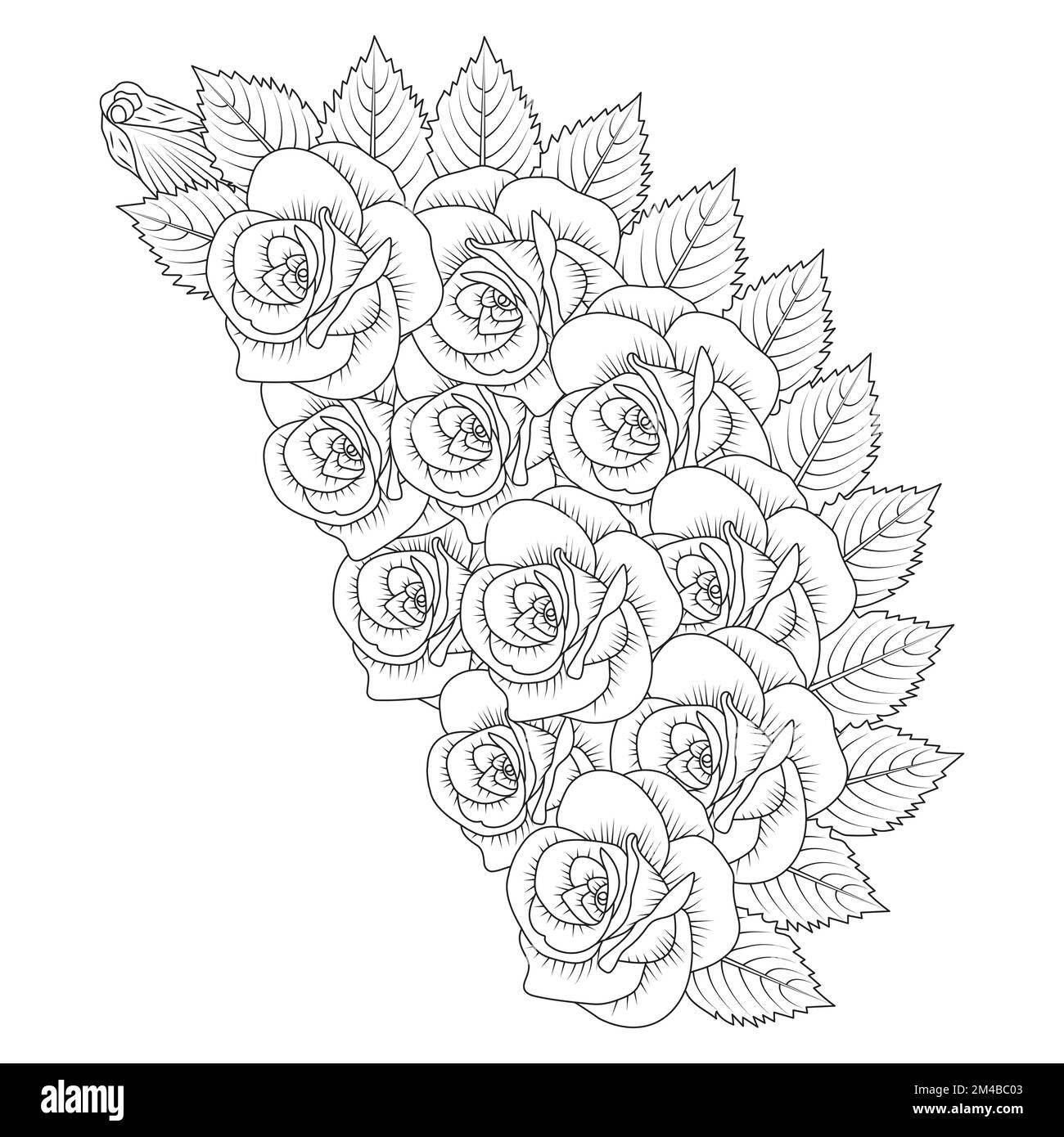 Contorno vectorial rosas Imágenes de stock en blanco y negro - Página 2 -  Alamy