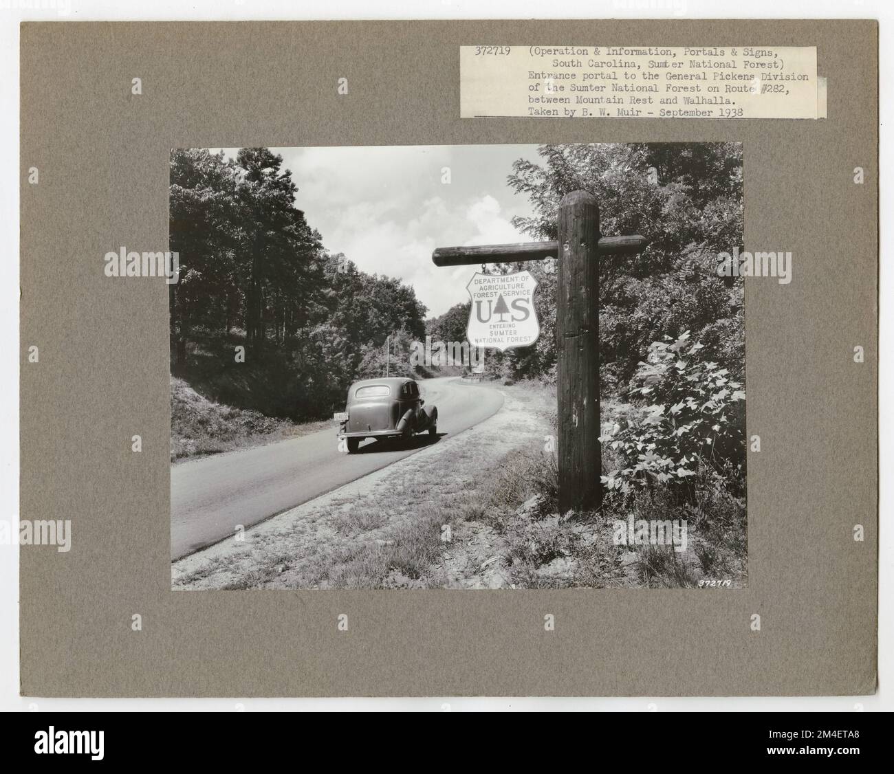 Señales Puerto Rico. Fotografías relacionadas con los bosques