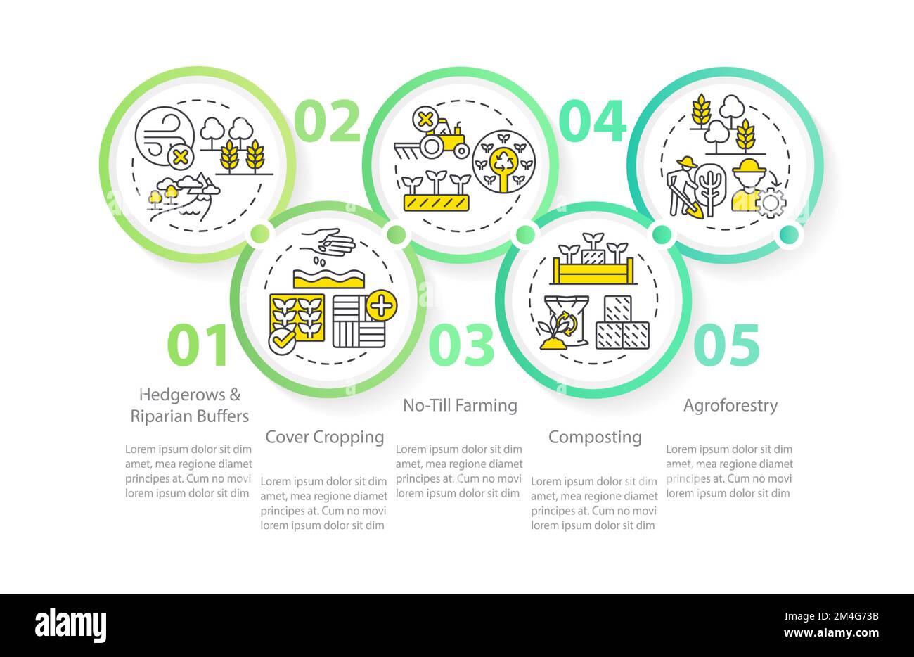 Plantilla de infografía de técnicas de agricultura regenerativa círculo verde Ilustración del Vector