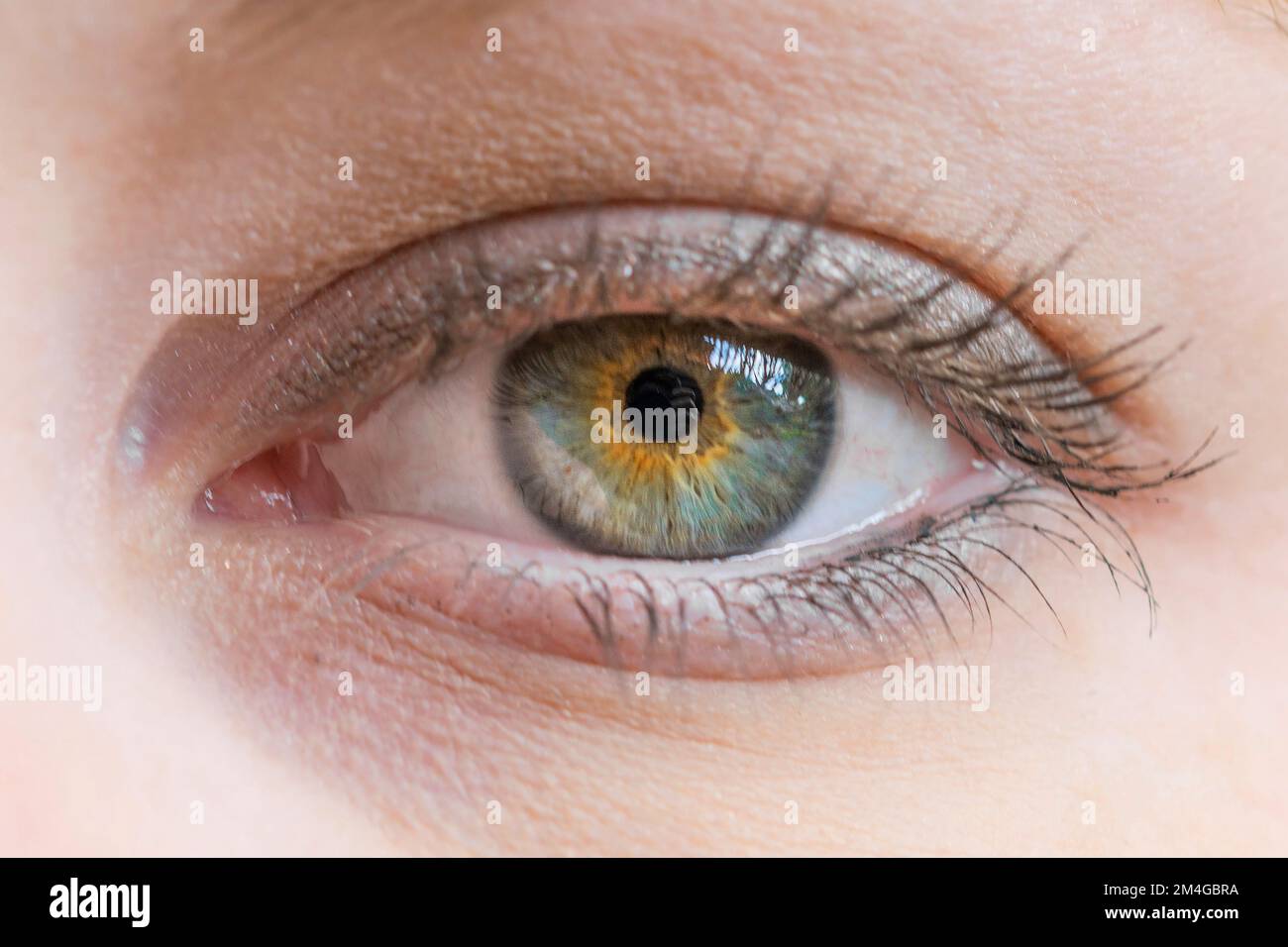 Ojos color ámbar mujer fotografías e imágenes de alta resolución - Alamy