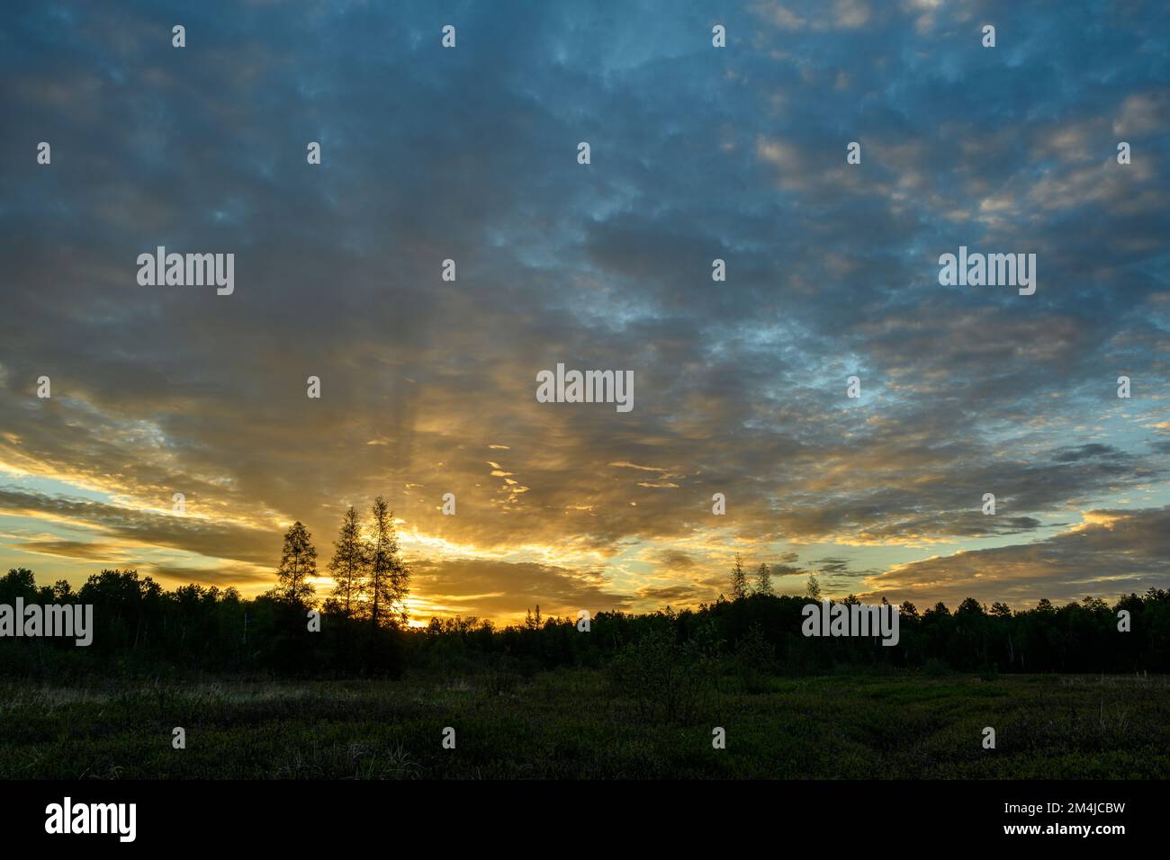 El amanecer se eleva sobre un pantano de hoja de cuero en primavera, Greater Sudbury, Ontario, Canadá Foto de stock