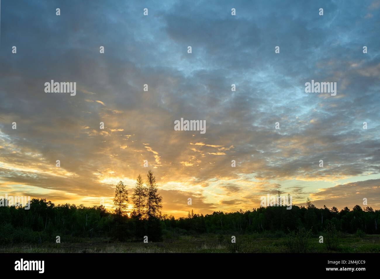 El amanecer se eleva sobre un pantano de hoja de cuero en primavera, Greater Sudbury, Ontario, Canadá Foto de stock