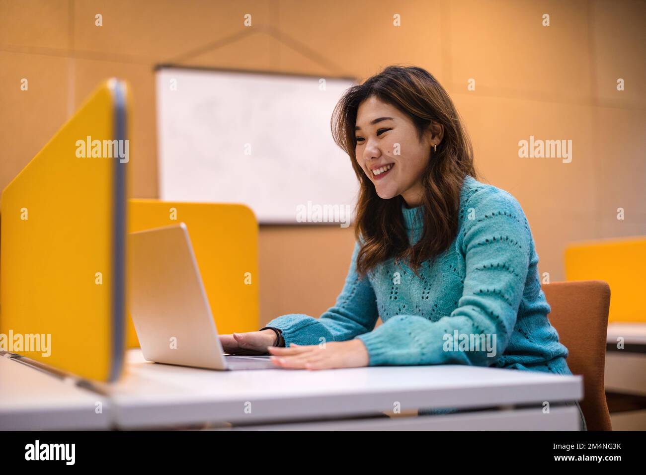 Estudiante femenina que trabaja en la computadora portátil en un cubículo de la biblioteca Foto de stock