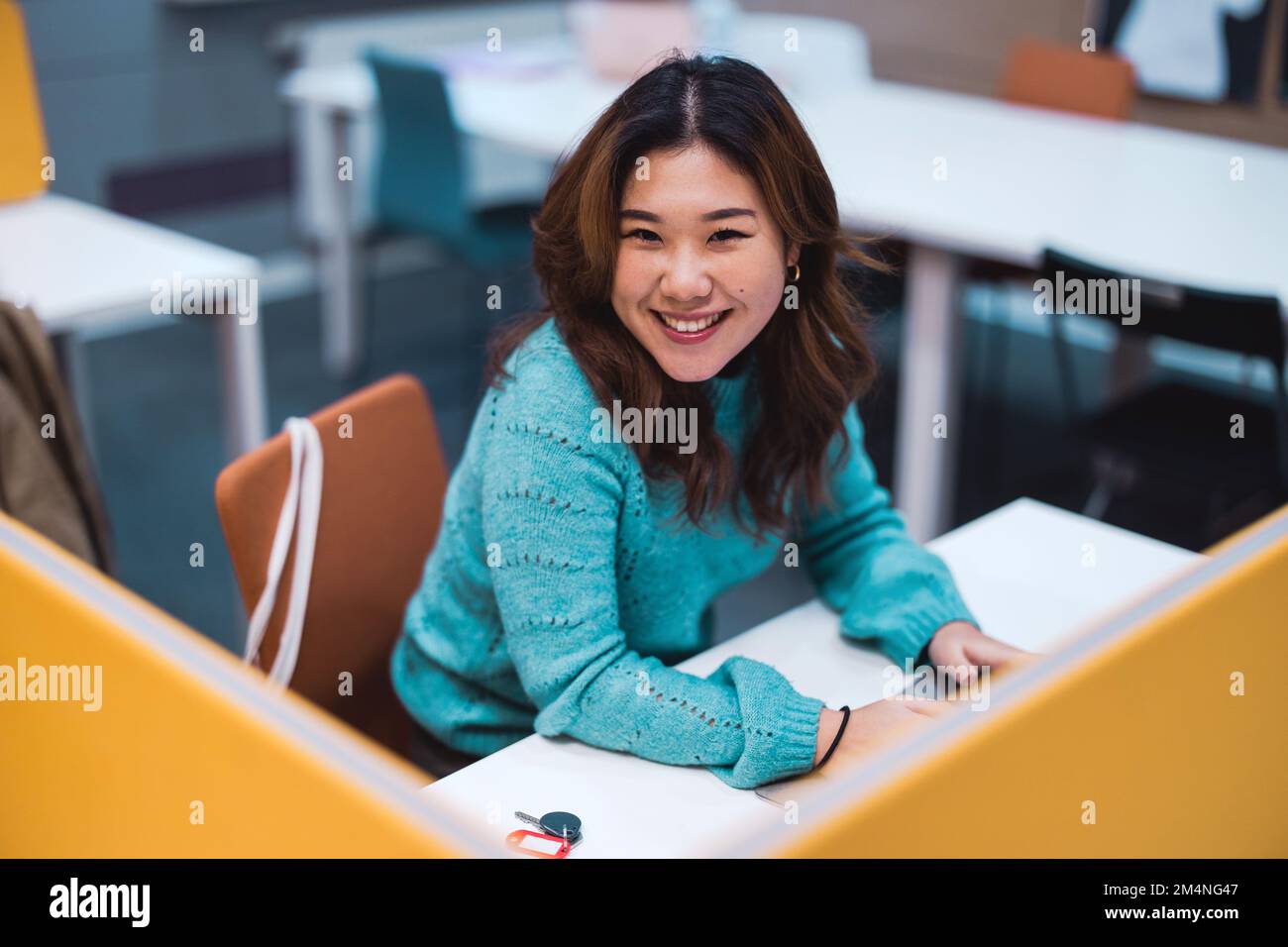 Estudiante femenina que trabaja en la computadora portátil en un cubículo de la biblioteca Foto de stock