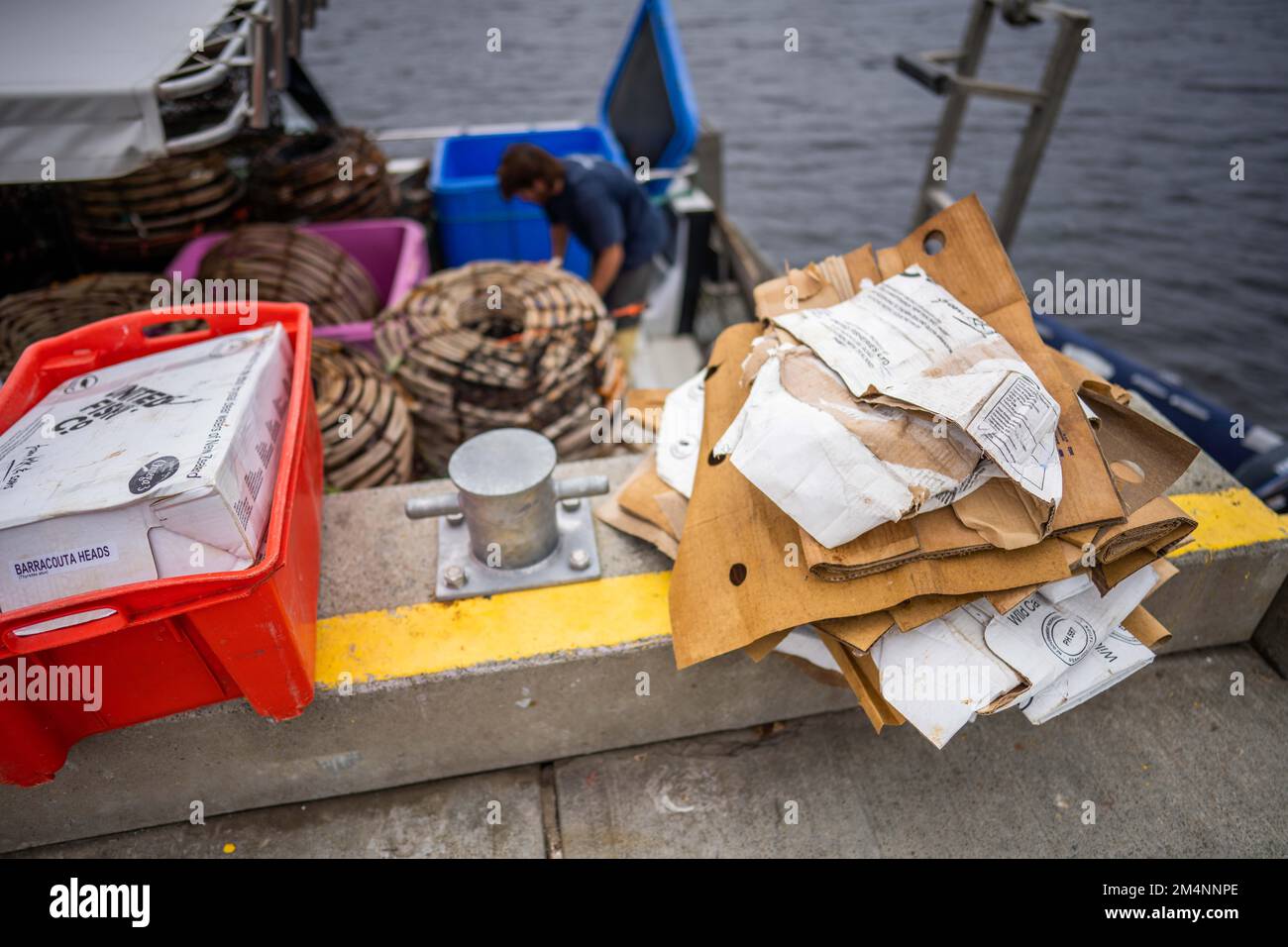 reciclaje de cartón después de un viaje de pesca en un barco en australia Foto de stock