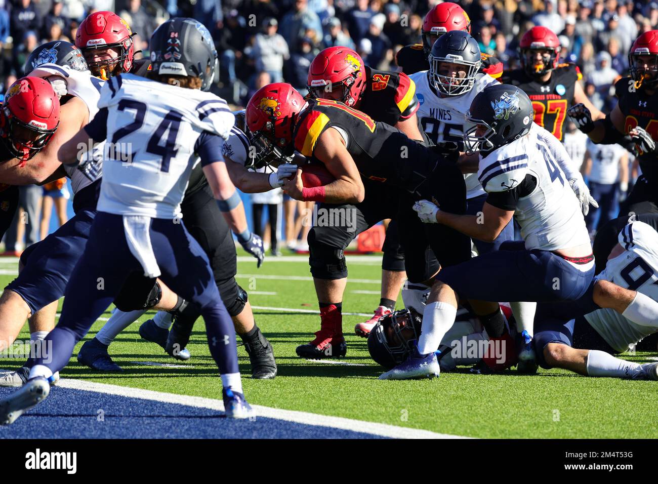 Ferris State Bulldogs Carson Gulker (12) es detenido justo antes de la línea de meta por el apoyador de Colorado School of Mines Orediggers Nolan Reeve (46) dur Foto de stock