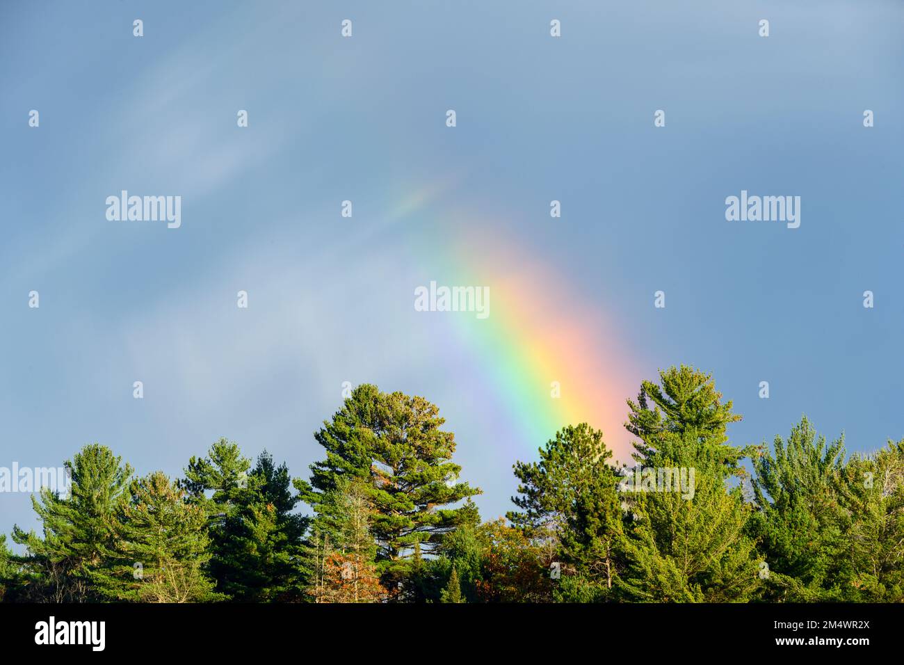 Paisajes hermosos pinos fotografías e imágenes de alta resolución Alamy