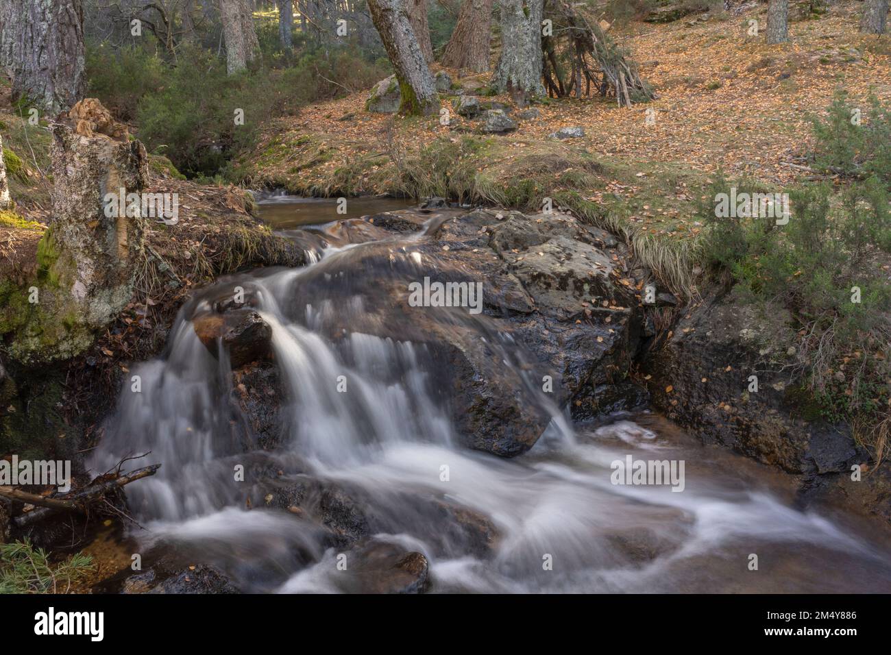 Una hermosa cascada en el bosque. Canencia, Comunidad de Madrid, centro de  España Fotografía de stock - Alamy