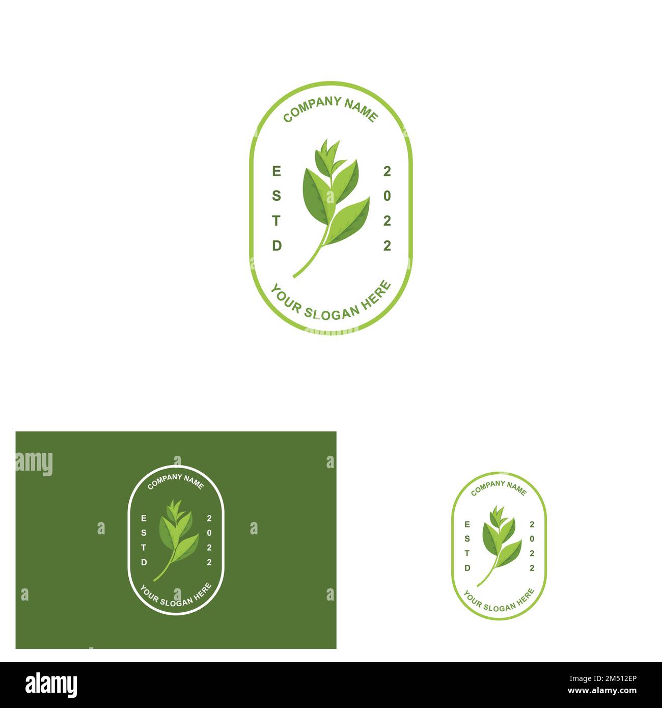 Vector Ilustración de la planta verde matcha logotipo hecho como matcha bebida o postre matcha, diseño de té verde Ilustración del Vector