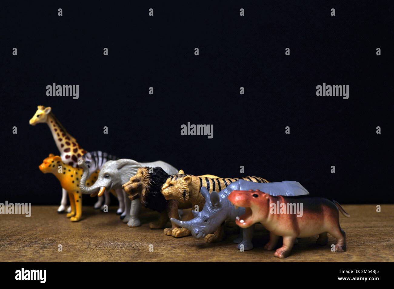 Animales juguetes fotografías e imágenes de alta resolución - Alamy