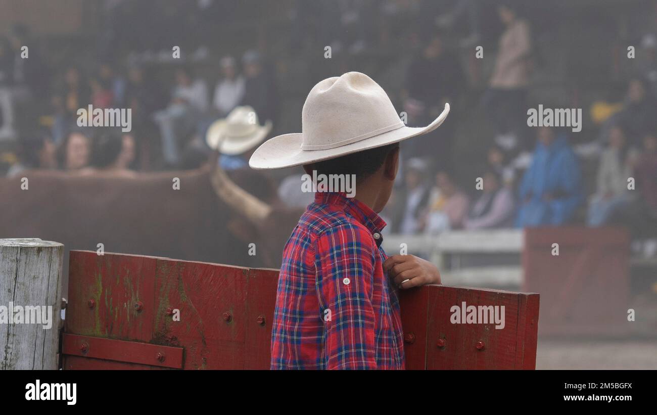 Bebé/ Niño Western Cowboy Hat Sombrero de a BEBE/ Nino Vaquero rodeo -   España