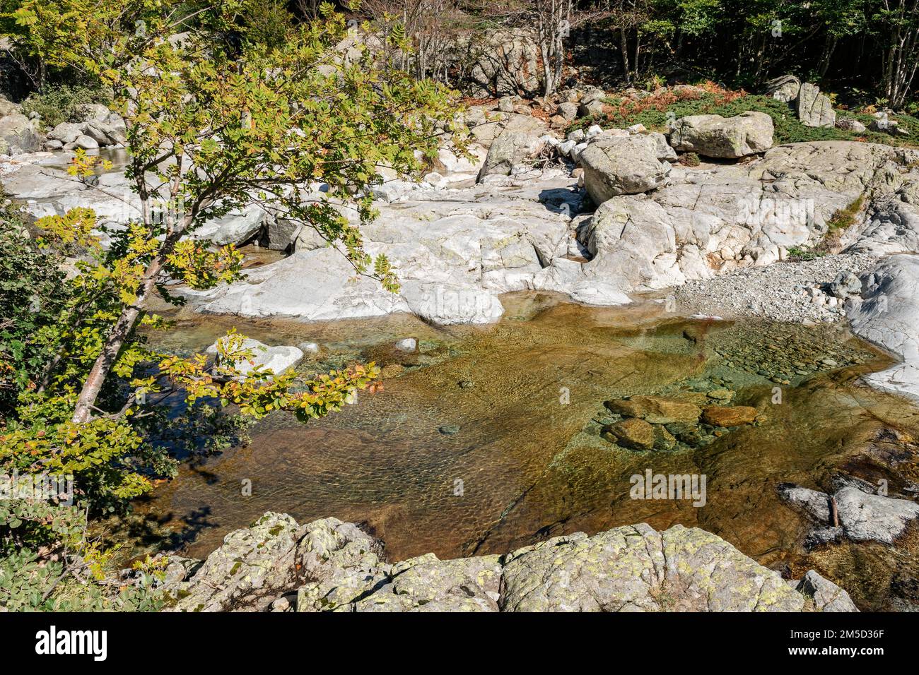 Cuenca clara de la corriente Agnone entre Onda y Vizzavona, GR20, Córcega, Francia Foto de stock