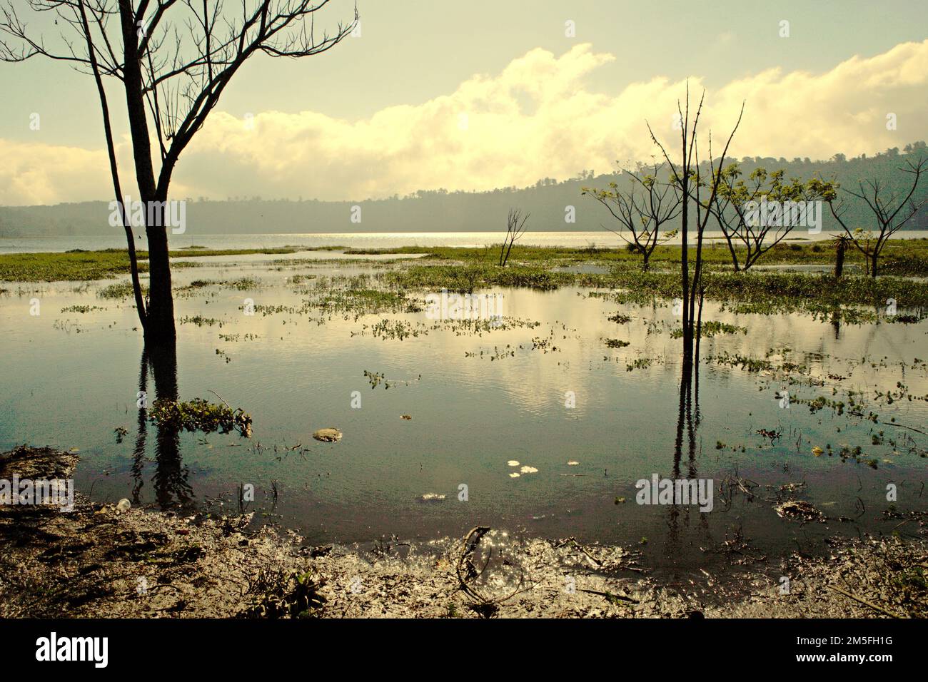 Lago Buyan en Buleleng, Bali, Indonesia. Los daños en los ecosistemas forestales han causado que los lagos Buyan (en la foto) y Tamblingan, que sostienen muchas aldeas en la regencia Buleleng de Bali, se reduzcan. Bali, un conocido destino turístico tropical, se enfrenta ahora a una crisis de agua que empeora debido al desarrollo del turismo, el crecimiento de la población y la mala gestión del agua, informaron Victoria Milko y Andi Jatmiko de The Associated Press el 13 de diciembre de 2022. Foto de stock