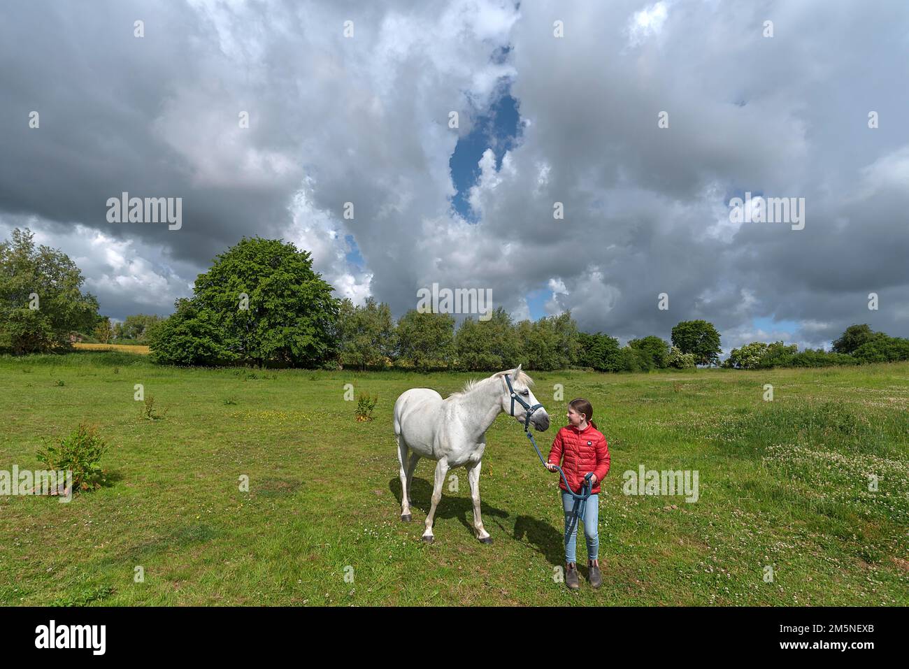 Niña, de 10 años, con su caballo en el pasto, Mecklemburgo-Pomerania Occidental, Alemania Foto de stock