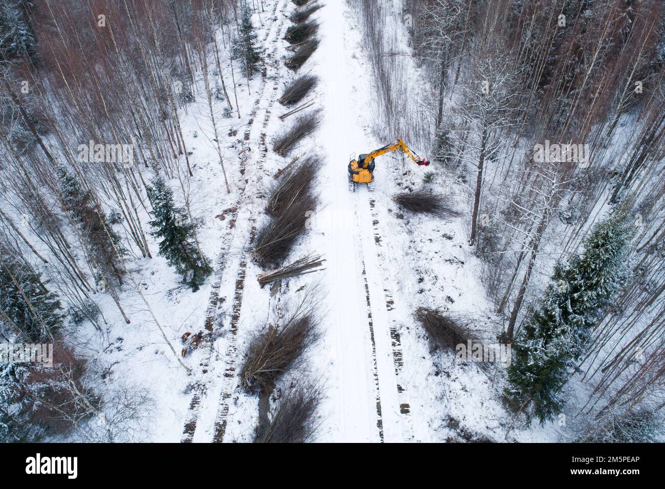 Una antena de una guillotina amarilla que corta madera de energía y madera dura de bajo valor junto a una pequeña carretera en el invierno de Estonia, norte de Europa Foto de stock