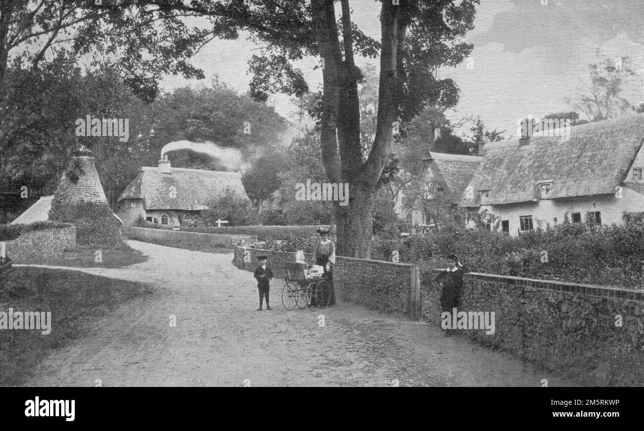 Dalham Newmarket Suffolk 1905 Foto de stock