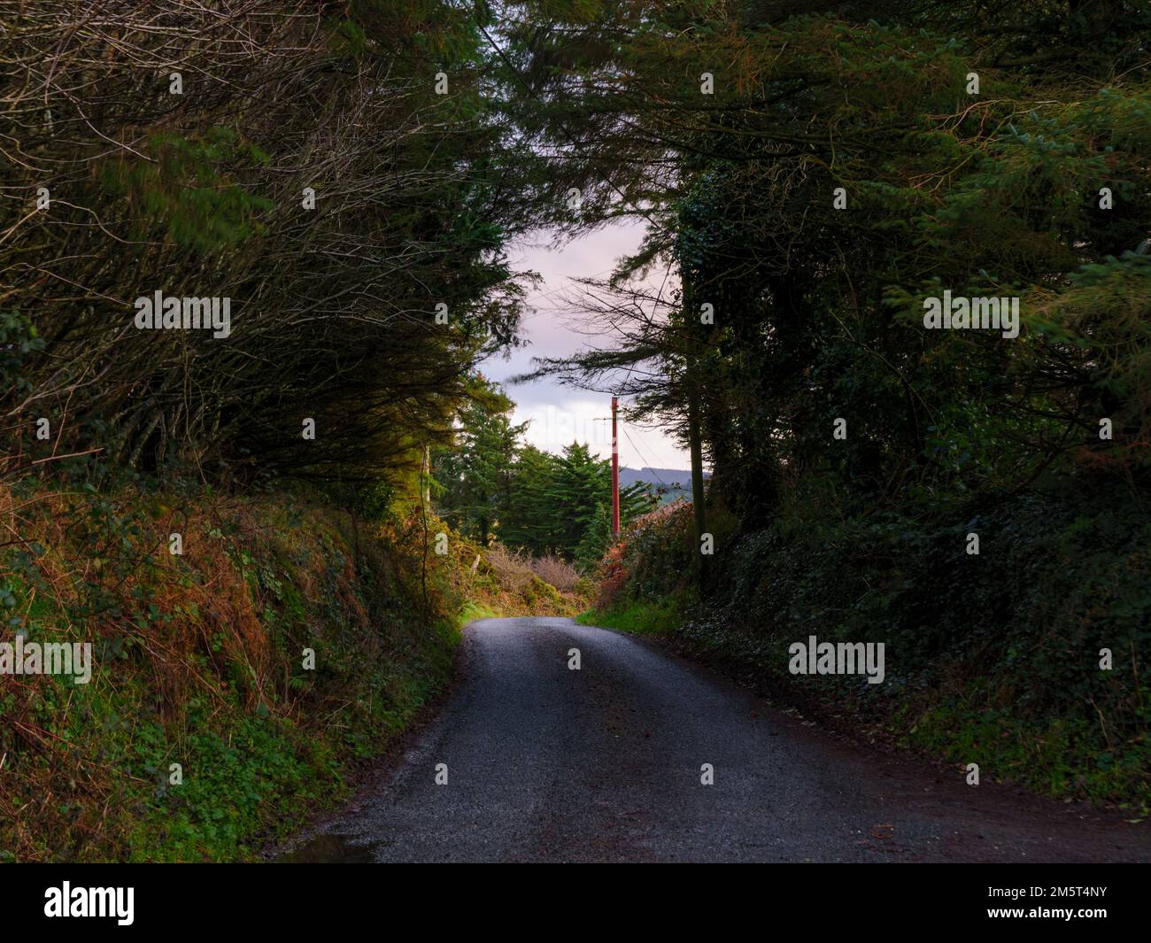Carretera rural irlandesa Foto de stock