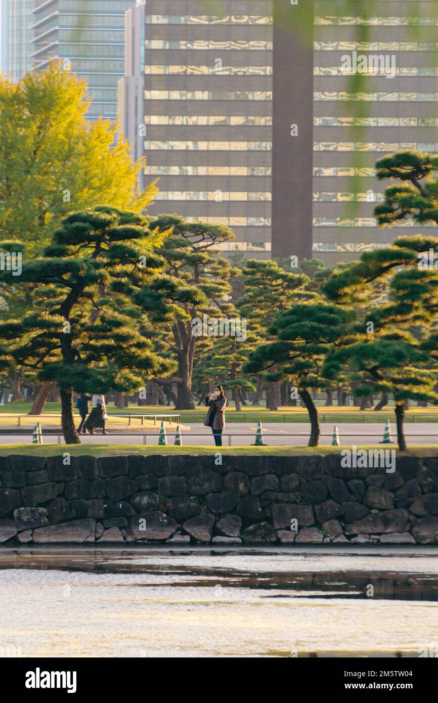 Una persona en un jardín japonés en la ciudad Foto de stock