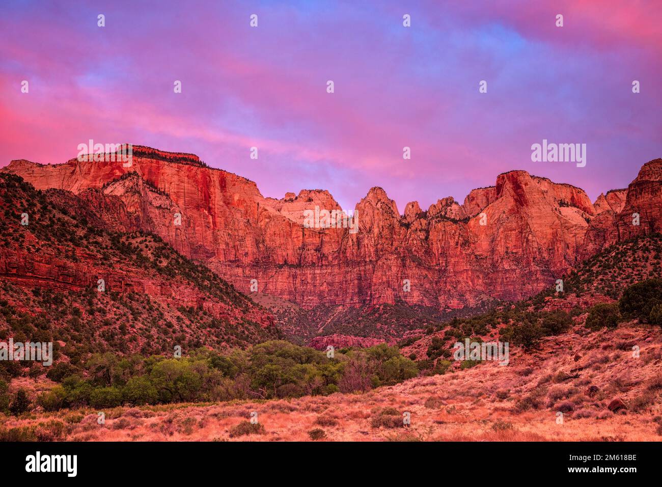 Color del amanecer sobre el Templo de las Vírgenes en el Parque Nacional Zion en Utah Foto de stock