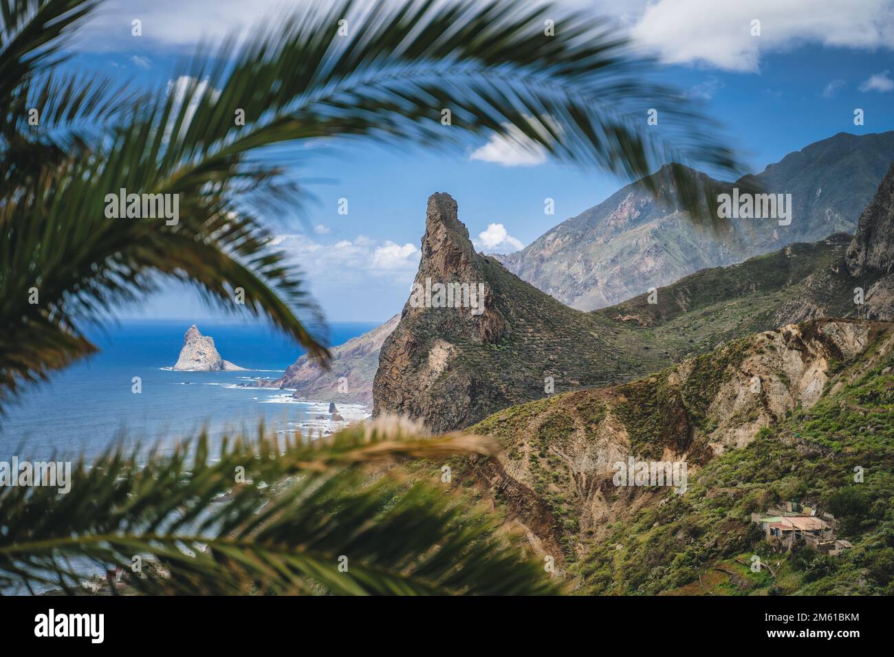 Paisaje de montaña costa del océano y ramas de palmeras. Peñasco Roque de las Animas en el parque Anaga, Tenerife, Islas Canarias. Ruta de senderismo en Uncharted Foto de stock