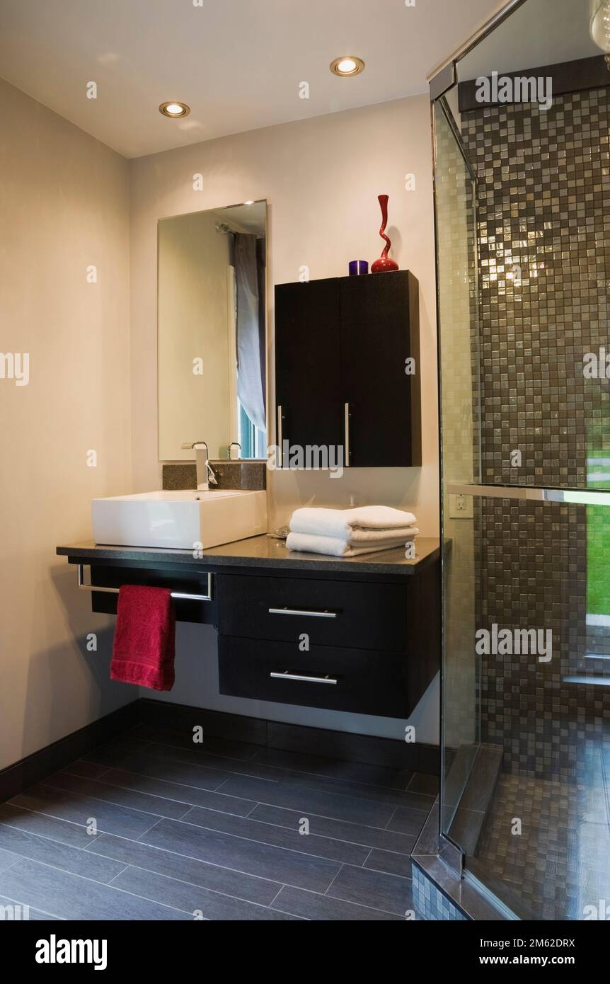 Cabina de ducha de vidrio y gabinetes de madera negra y fregadero de  porcelana cuadrado blanco en el baño dentro de una casa de lujo, Quebec,  Canadá. Esta imagen es propiedad Fotografía