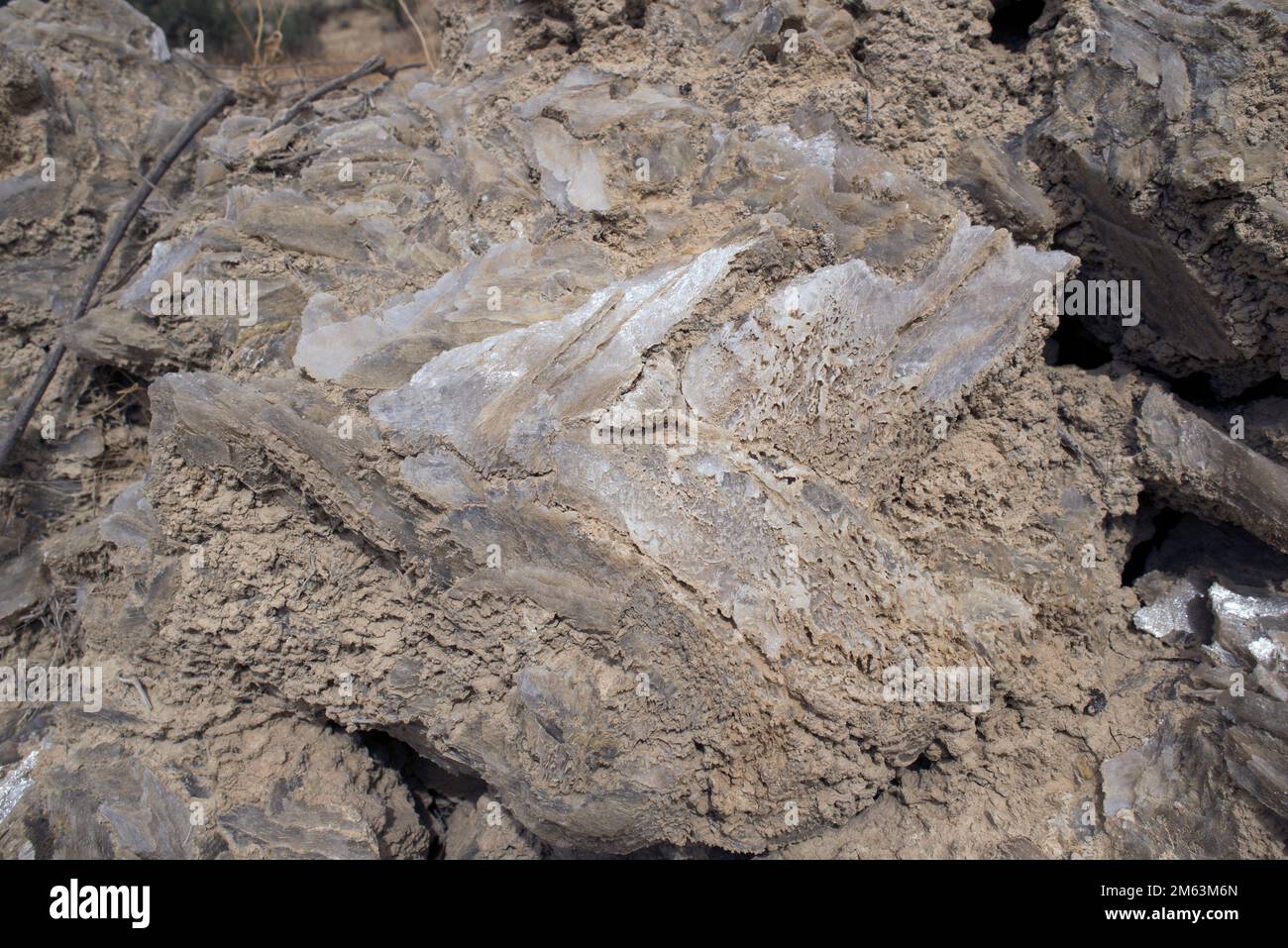 Gemelo de punta de flecha de yeso. El yeso es un mineral dihidrato de sulfato de calcio. Esta muestra proviene de Sorbas, Almería, Andalucía, España. Foto de stock