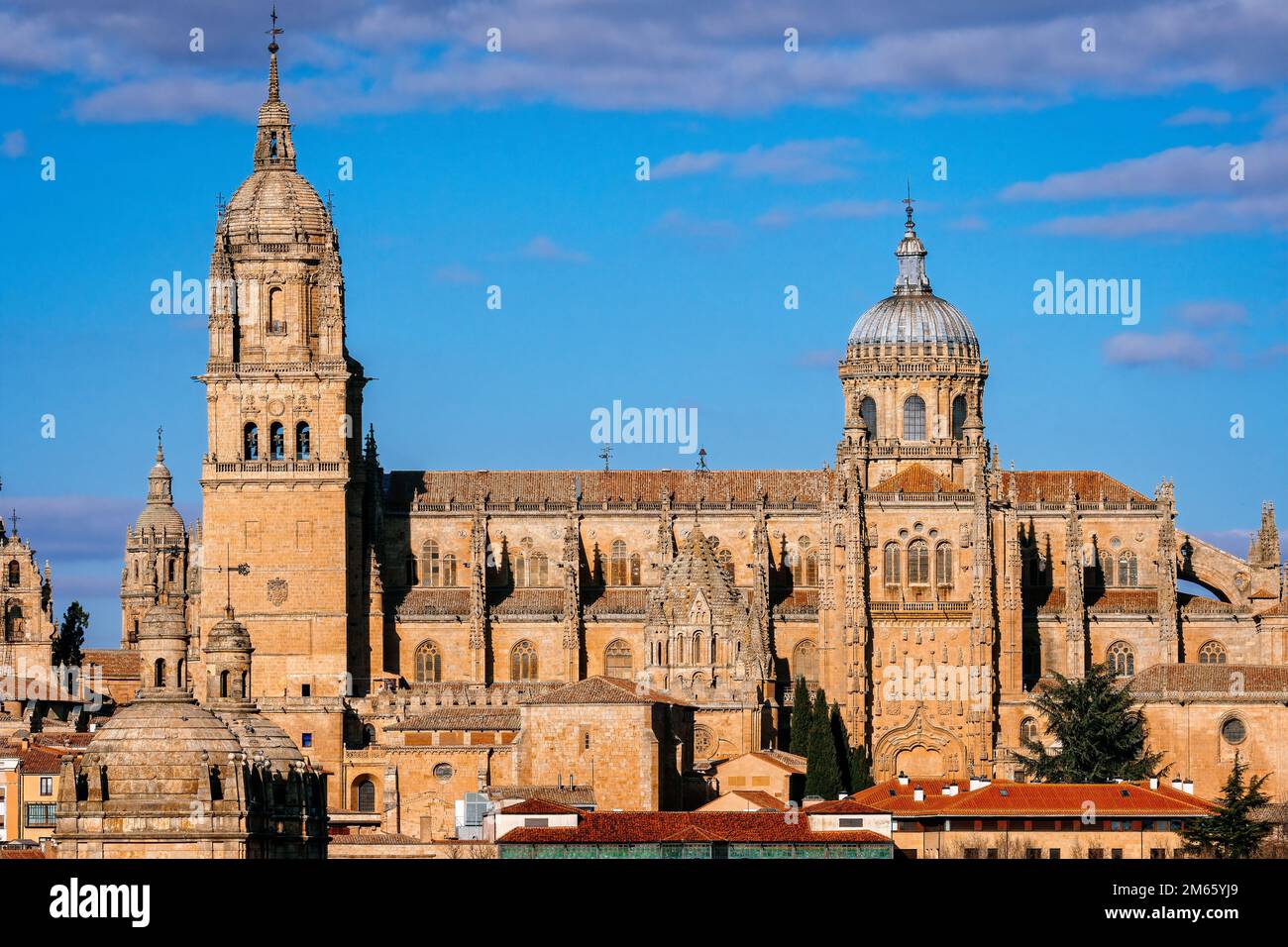Vista panorámica de la catedral de Salamanca