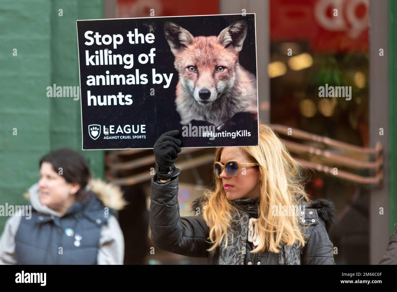Protesta contra la caza y la caza de zorros en el Essex con el desfile del Día de Año Nuevo Farmers & Union Hunt en Maldon, Essex, Reino Unido. Liga contra Cruel Sports Foto de stock