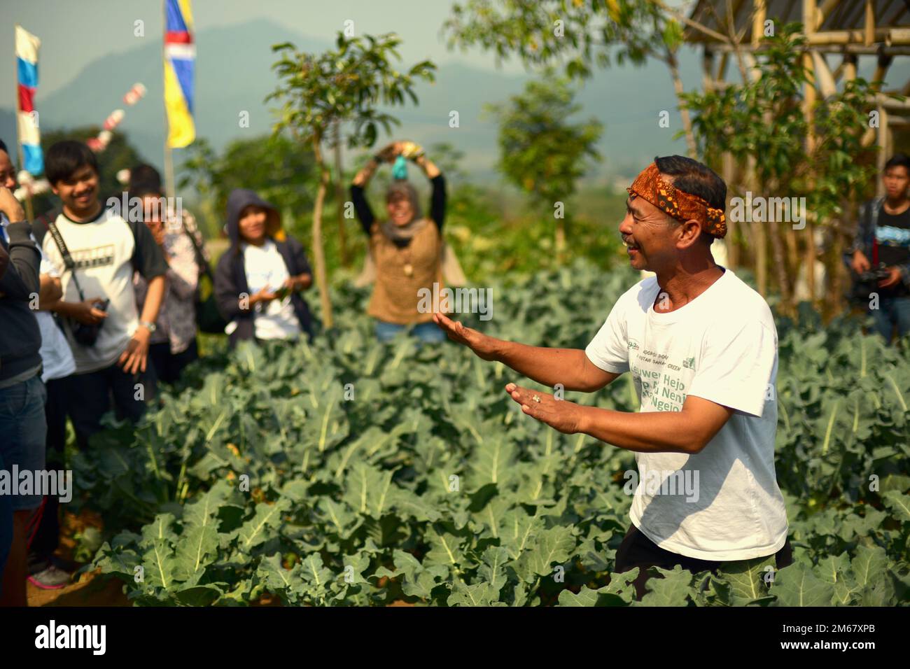 Un agricultor que da explicaciones sobre la agricultura orgánica a los visitantes mientras se reúnen en un campo de cultivo de hortalizas orgánicas, durante el 'Festival Sarongge', un evento de acción de gracias agrícola que se lleva a cabo simultáneamente con la celebración del día de la independencia de Indonesia, que se conmemora cada año el 17 de agosto, en Ciputri, Pacet, Cianjur, Java Occidental, Indonesia. Foto de stock