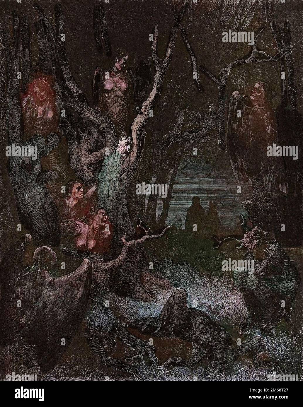 Inferno, Canto 13: As Harpias na floresta dos suicídios, ilustração da  Divina Comédia de Dante Alighieri, 1885 (gravura digital colorida)