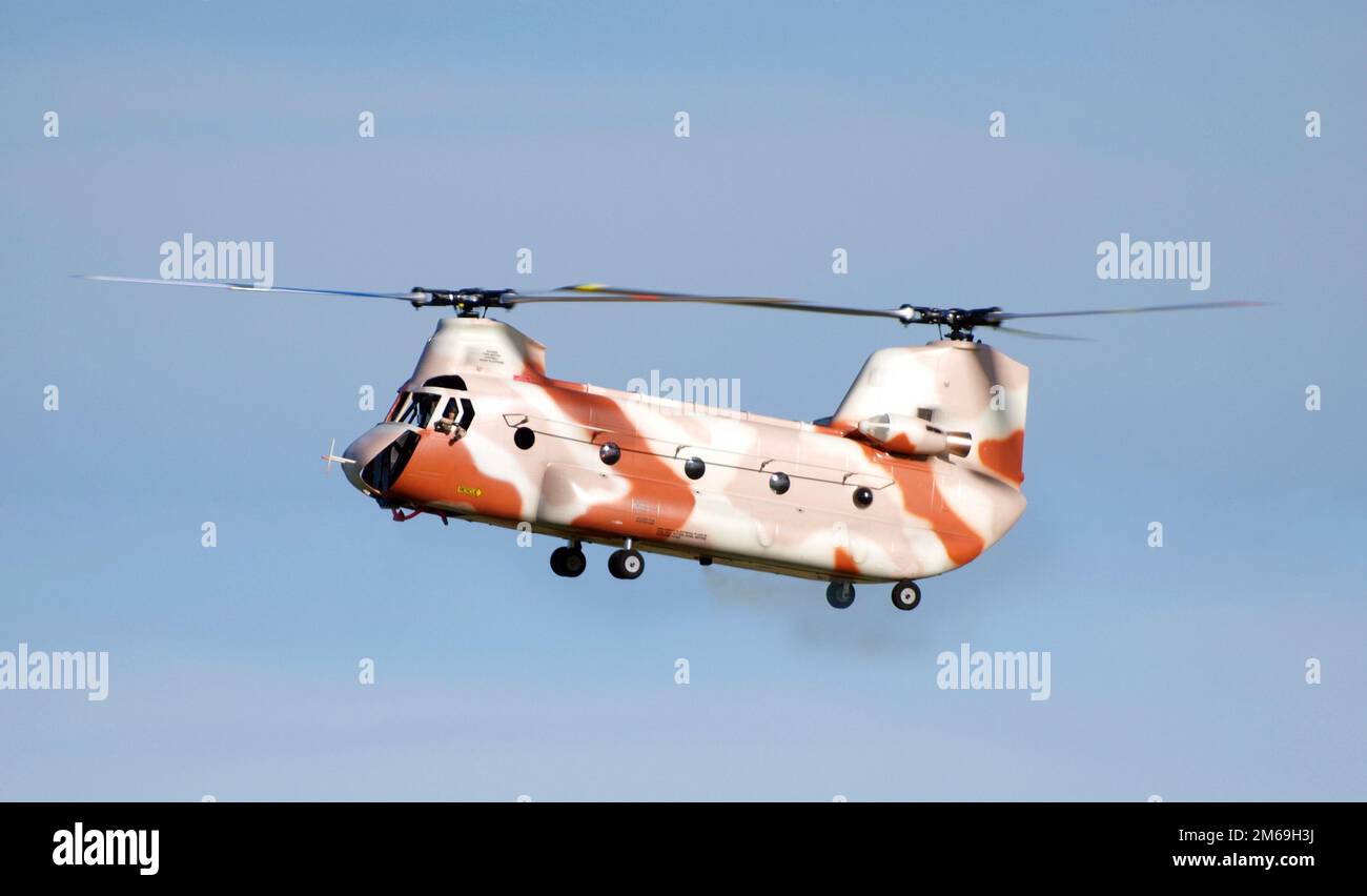 Helicóptero Chinook controlado por radio Foto de stock
