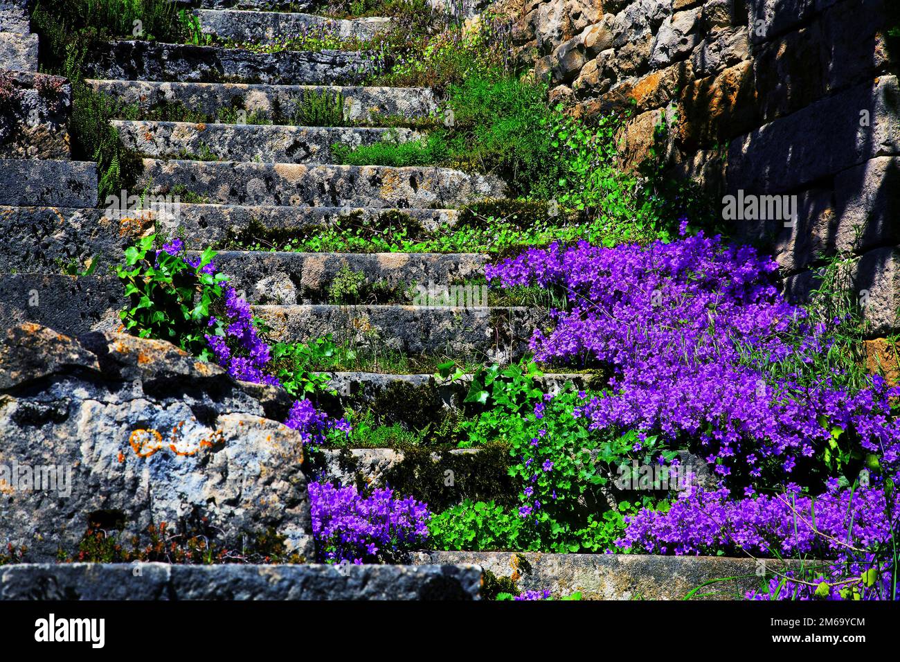 Blumentreppe, Baume les Messieurs, Jura, Franche Comte, Francia Foto de stock