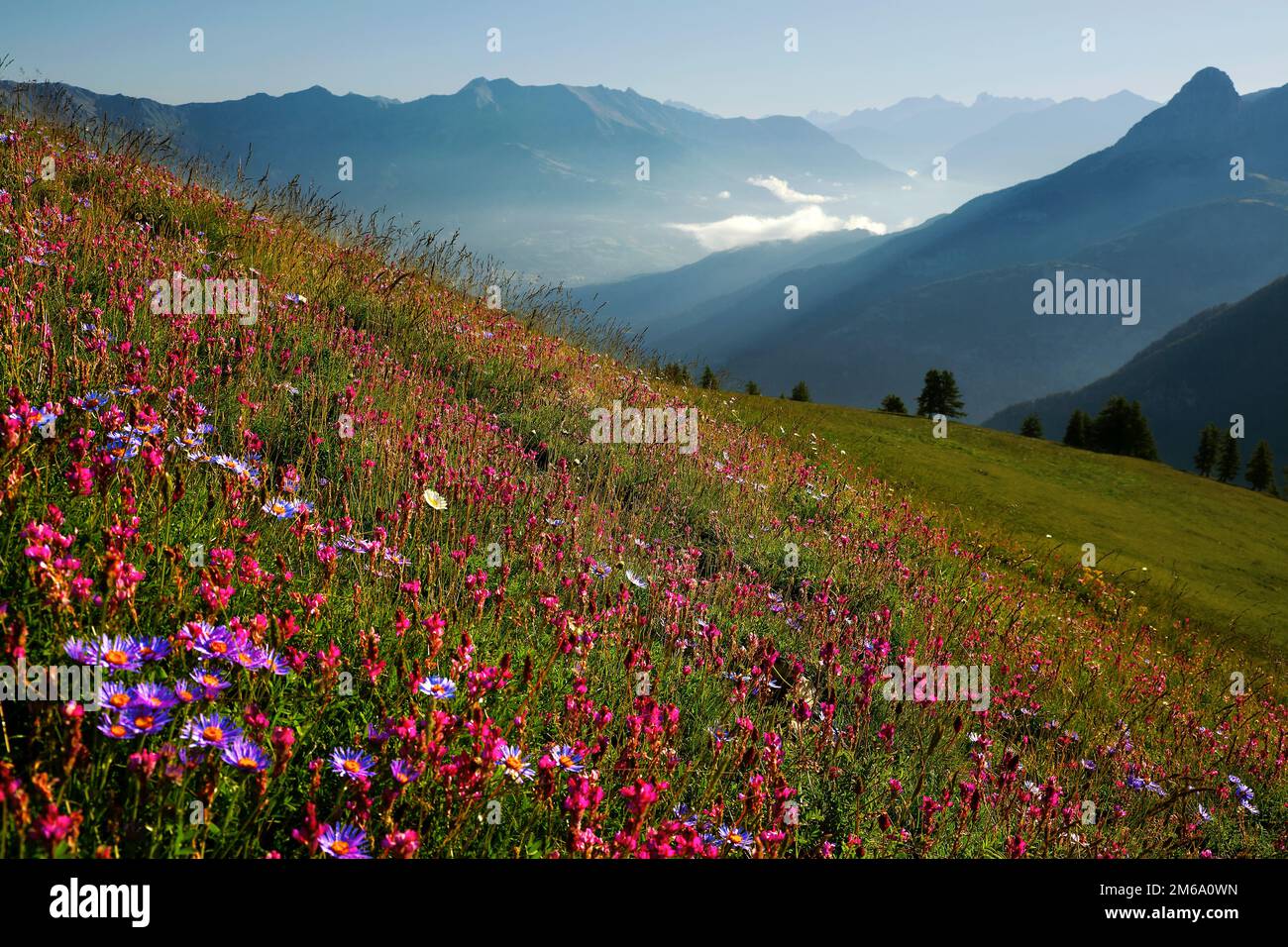 Parque Nacional de Mercantour, Alpes Marítimos, Francia Foto de stock