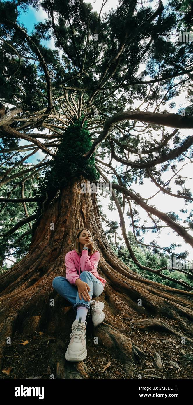 Una mujer se sienta debajo de un enorme árbol antiguo en Hagley Park, Christchurch. Viaje a Nueva Zelanda. Foto de stock