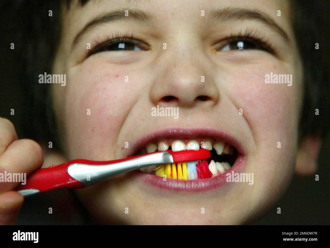 Foto de archivo fechada el 14/02/16 de la foto posada de un niño pequeño  cepillándose los dientes. Los cepillos de dientes se están convirtiendo en  un 'artículo de lujo' para algunas familias,